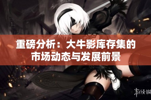 重磅分析：大牛影库存集的市场动态与发展前景