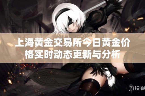 上海黄金交易所今日黄金价格实时动态更新与分析