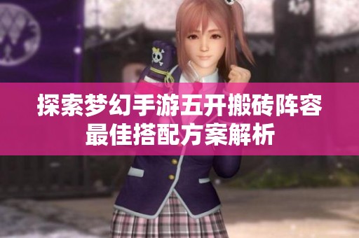 探索梦幻手游五开搬砖阵容最佳搭配方案解析