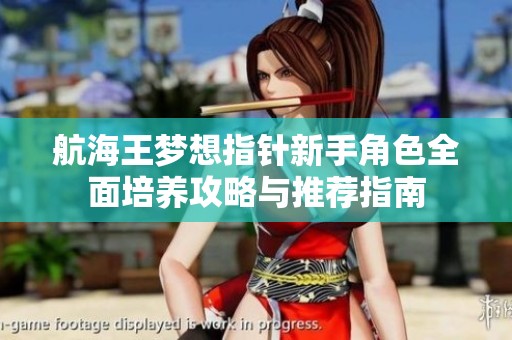 航海王梦想指针新手角色全面培养攻略与推荐指南