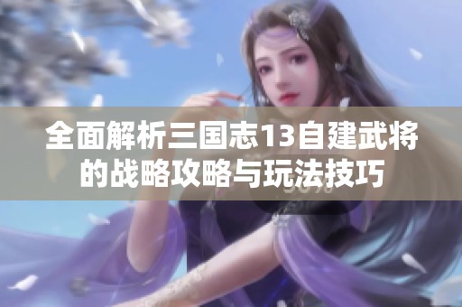 全面解析三国志13自建武将的战略攻略与玩法技巧
