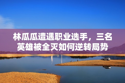 林瓜瓜遭遇职业选手，三名英雄被全灭如何逆转局势