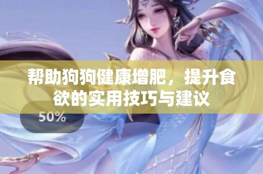 帮助狗狗健康增肥，提升食欲的实用技巧与建议