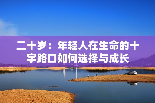 二十岁：年轻人在生命的十字路口如何选择与成长