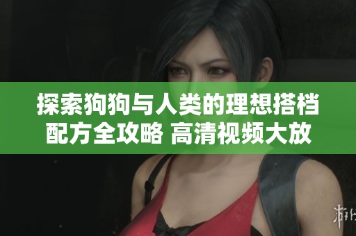 探索狗狗与人类的理想搭档配方全攻略 高清视频大放送