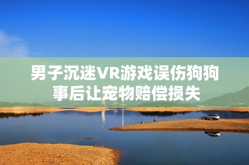 男子沉迷VR游戏误伤狗狗 事后让宠物赔偿损失