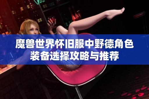 魔兽世界怀旧服中野德角色装备选择攻略与推荐