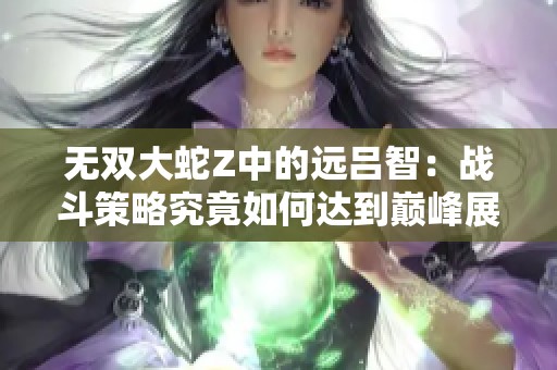 无双大蛇Z中的远吕智：战斗策略究竟如何达到巅峰展现