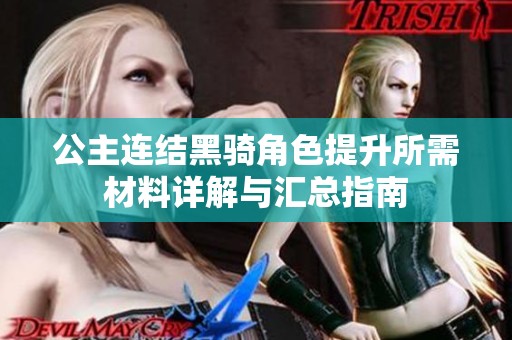 公主连结黑骑角色提升所需材料详解与汇总指南