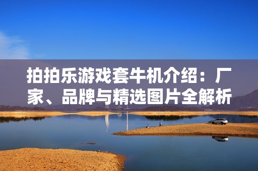 拍拍乐游戏套牛机介绍：厂家、品牌与精选图片全解析