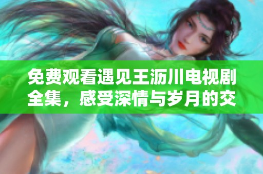 免费观看遇见王沥川电视剧全集，感受深情与岁月的交汇