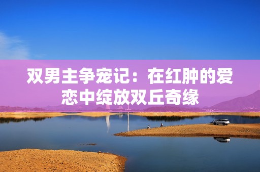 双男主争宠记：在红肿的爱恋中绽放双丘奇缘