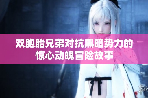 双胞胎兄弟对抗黑暗势力的惊心动魄冒险故事