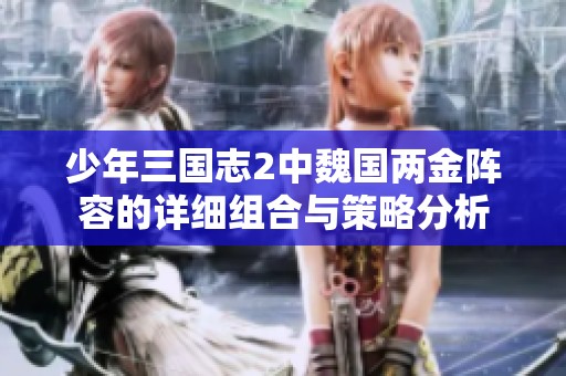 少年三国志2中魏国两金阵容的详细组合与策略分析
