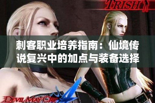 刺客职业培养指南：仙境传说复兴中的加点与装备选择技巧