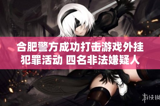 合肥警方成功打击游戏外挂犯罪活动 四名非法嫌疑人被抓获