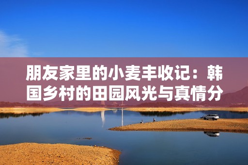朋友家里的小麦丰收记：韩国乡村的田园风光与真情分享