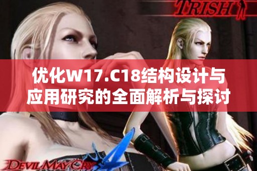 优化W17.C18结构设计与应用研究的全面解析与探讨