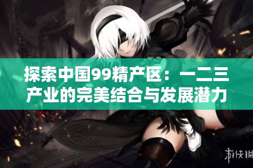 探索中国99精产区：一二三产业的完美结合与发展潜力