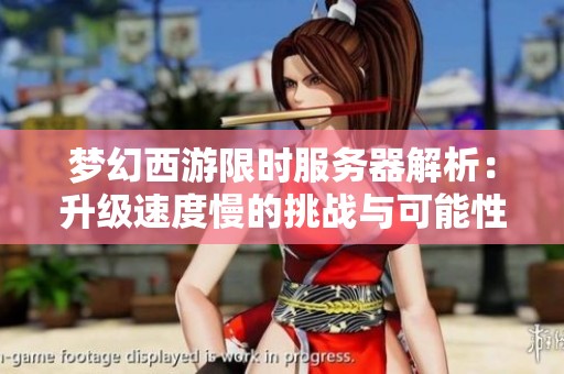 梦幻西游限时服务器解析：升级速度慢的挑战与可能性分析