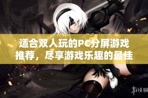 适合双人玩的PC分屏游戏推荐，尽享游戏乐趣的最佳选择