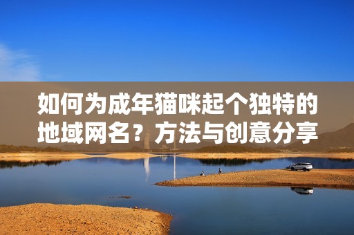 如何为成年猫咪起个独特的地域网名？方法与创意分享