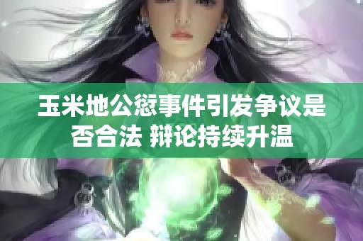 玉米地公愆事件引发争议是否合法 辩论持续升温