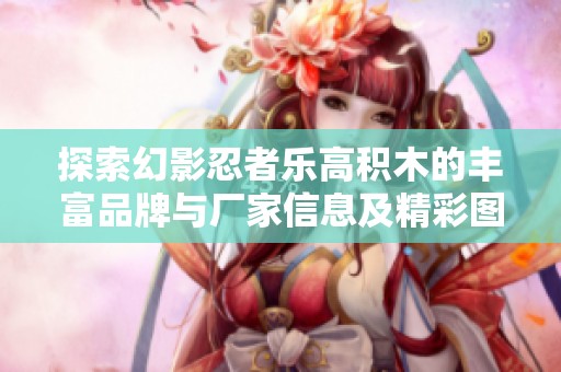 探索幻影忍者乐高积木的丰富品牌与厂家信息及精彩图片