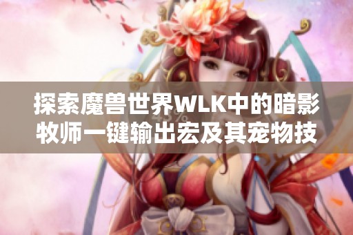 探索魔兽世界WLK中的暗影牧师一键输出宏及其宠物技巧解析