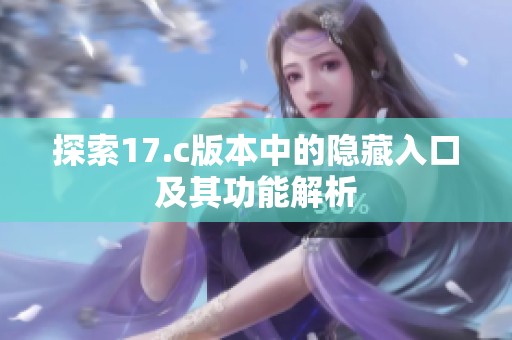 探索17.c版本中的隐藏入口及其功能解析