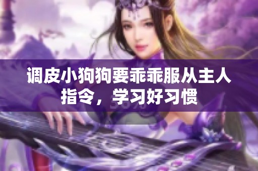 调皮小狗狗要乖乖服从主人指令，学习好习惯