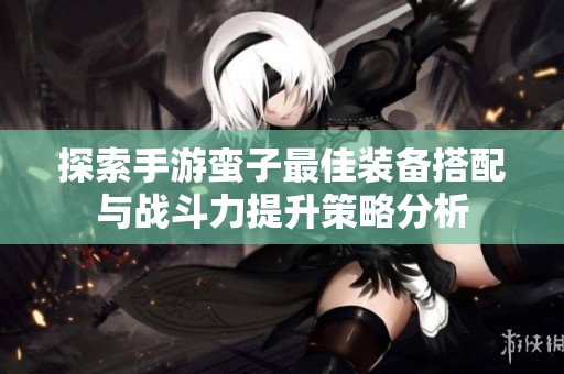 探索手游蛮子最佳装备搭配与战斗力提升策略分析