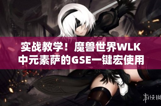 实战教学！魔兽世界WLK中元素萨的GSE一键宏使用攻略