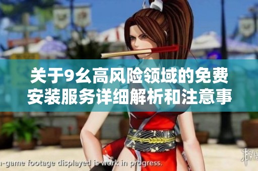 关于9幺高风险领域的免费安装服务详细解析和注意事项