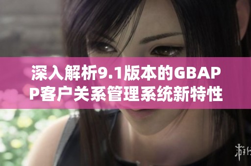 深入解析9.1版本的GBAPP客户关系管理系统新特性与应用