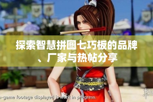 探索智慧拼图七巧板的品牌、厂家与热帖分享