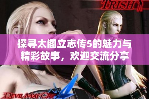 探寻太阁立志传5的魅力与精彩故事，欢迎交流分享