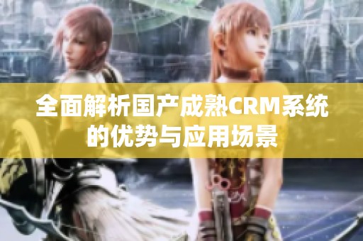 全面解析国产成熟CRM系统的优势与应用场景