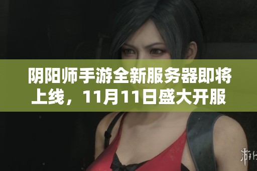 阴阳师手游全新服务器即将上线，11月11日盛大开服等你来战