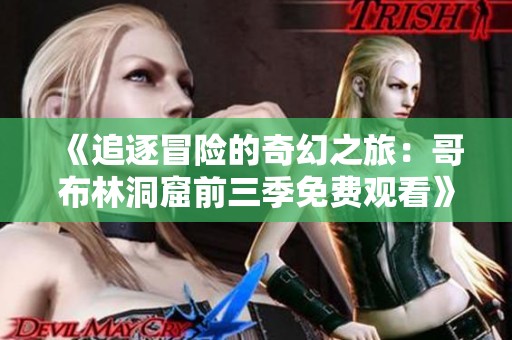 《追逐冒险的奇幻之旅：哥布林洞窟前三季免费观看》