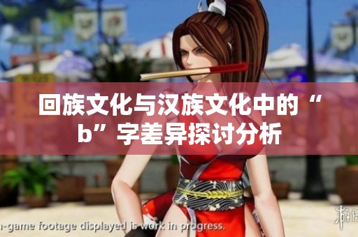 回族文化与汉族文化中的“b”字差异探讨分析