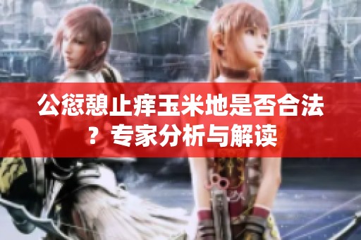 公愆憩止痒玉米地是否合法？专家分析与解读