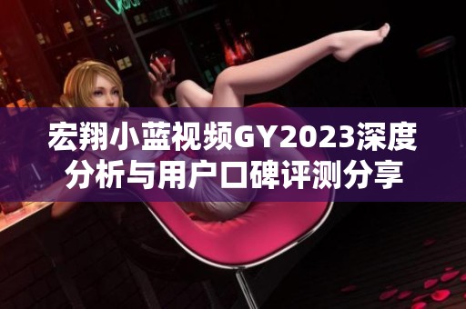 宏翔小蓝视频GY2023深度分析与用户口碑评测分享