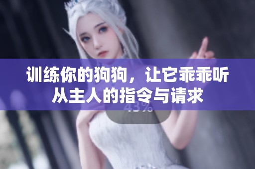 训练你的狗狗，让它乖乖听从主人的指令与请求