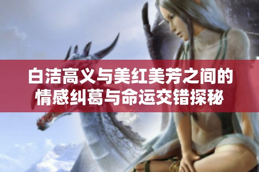 白洁高义与美红美芳之间的情感纠葛与命运交错探秘