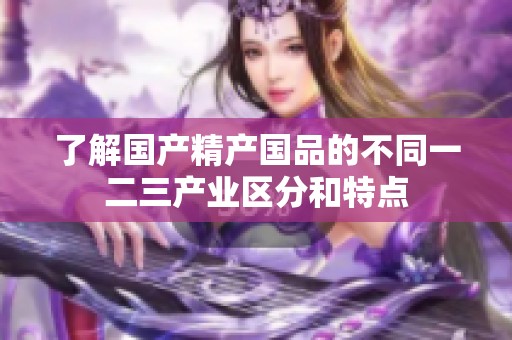 了解国产精产国品的不同一二三产业区分和特点
