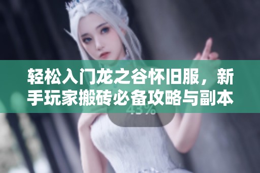 轻松入门龙之谷怀旧服，新手玩家搬砖必备攻略与副本技巧