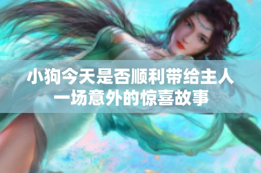 小狗今天是否顺利带给主人一场意外的惊喜故事