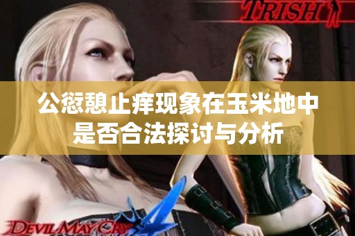 公愆憩止痒现象在玉米地中是否合法探讨与分析