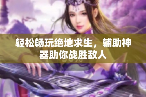 轻松畅玩绝地求生，辅助神器助你战胜敌人
